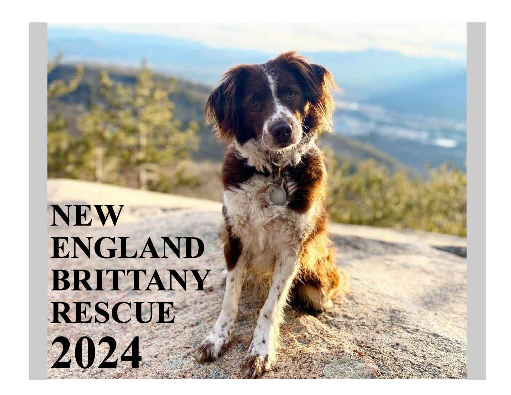 NEBR Calendar