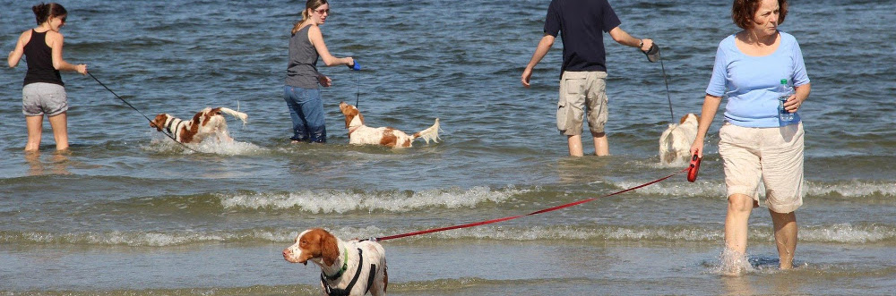 NEBR Beach Bash