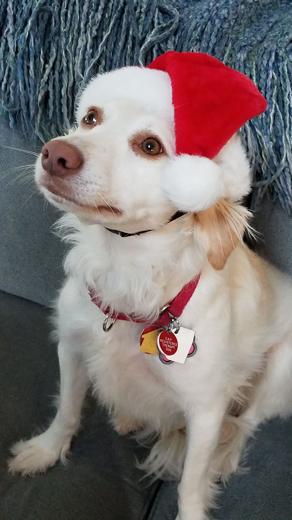 Trixie